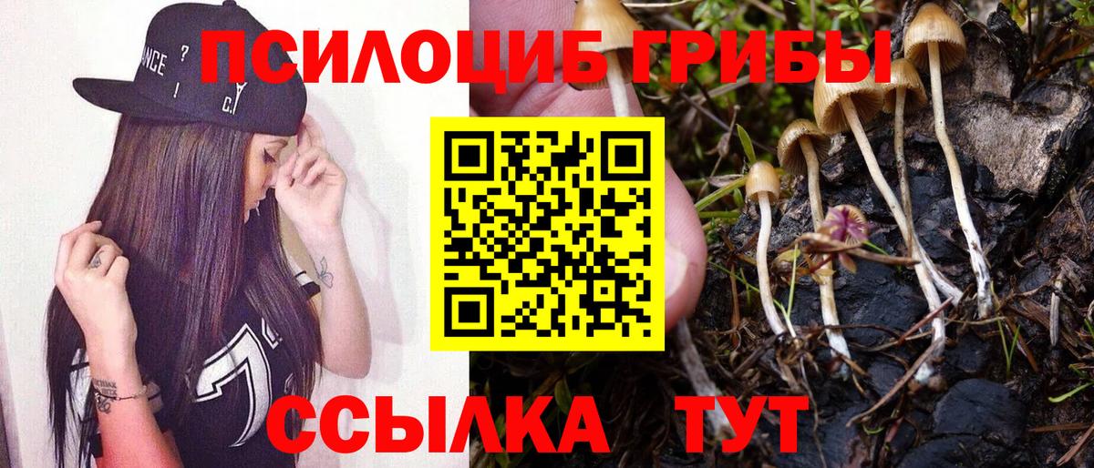 Псилоцибиновые грибы мицелий Кандалакша